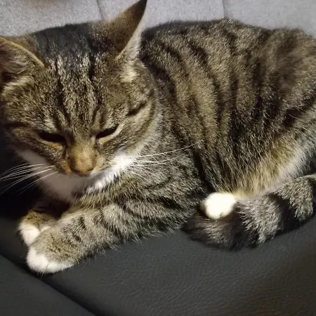 Haus Hinterfuerbach Διαμέρισμα