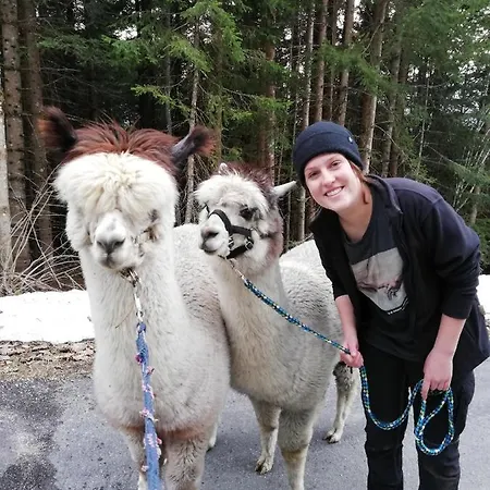 Haus Hinterfuerbach Wagrain