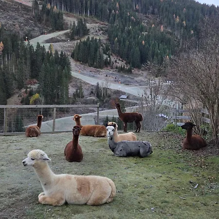 Haus Hinterfuerbach Апартаменты Ваграйн